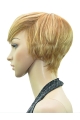 Online Brown Straight Cropped Celebrity Wigs