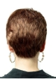 Monofilament Suitable Boycuts Straight Short Wigs