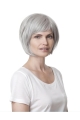 Fashionable Straight Chin Length Synthetic Grey Wigs