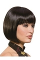 Fashion Black Straight Chin Length Synthetic Wigs