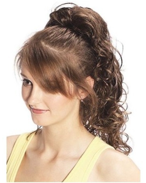 Great Brown Curly Long Clip in Hairpieces