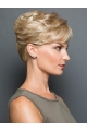 Synthetic Wig (Monofilament Base) 