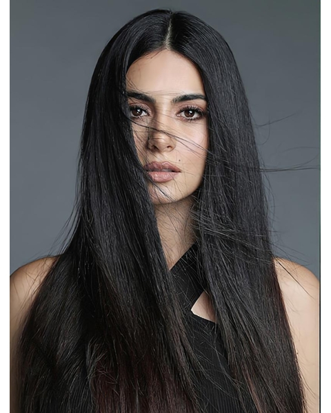 22" Straight  Long Lace Front  Black Without Bangs Synthetic Women Emeraude Toubia Wigs