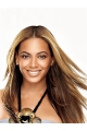 24'' Amazing Brown Straight Without Bangs Full Lace Long Synthetic Women Beyonce Wigs