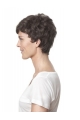 Affortable Lace Front Layered Curly Short Wigs For Women