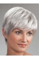 Short Monofilament Synthetic Straight Best Wigs For Elderly Lady