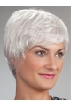 Short Monofilament Synthetic Straight Wigs For Elderly Lady