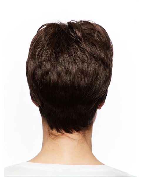 Short Monofilament Straight Brown Wigs For Women