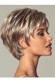 Brown Shining Layered Straight Short Wigs