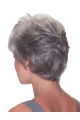 Stylish Straight Short Synthetic Grey Wigs