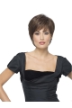 Brown Straight Short Synthetic Wigs