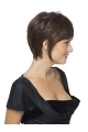 Brown Straight Short Synthetic Wigs