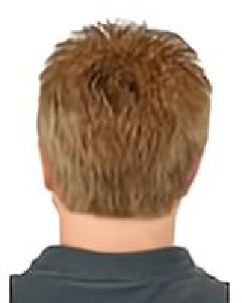 Sassy Blonde Monofilament Short Men Toupees