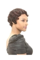 Stylish Brown Straight Short Capless Synthetic African American Women Wigs