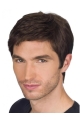 Gorgeous Auburn Straight Short Lace Human Hair Men Wigs