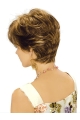 Traditional Brown Wavy Short Capless Classic Synthetic Women Wigs