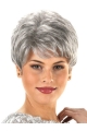 Hairstyles Wavy Short Capless Synthetic Grey Women Wigs