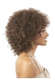 Refined Brown Curly Shoulder Length Glueless Lace Front Synthetic Women Wigs