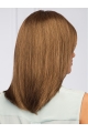 Brown Straight Shoulder Length Monofilament Synthetic Women African Hairstyles Wigs