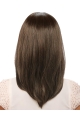 Affordable Brown Straight Shoulder Length Glueless Lace Wigs