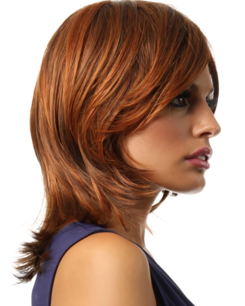 Synthetic Straight Shoulder Length Layered Lace Front Style Wigs