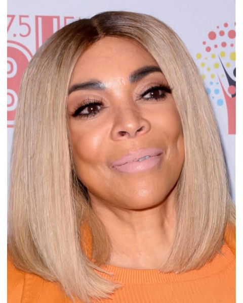 Lace Front Shoulder Length  Straight Grey Synthetic Bobs Wendy Williams Wigs