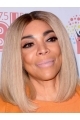 Lace Front Shoulder Length  Straight Grey Synthetic Bobs Wendy Williams Wigs